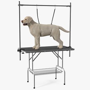 Grooming Table with Dog Fur 3D model
