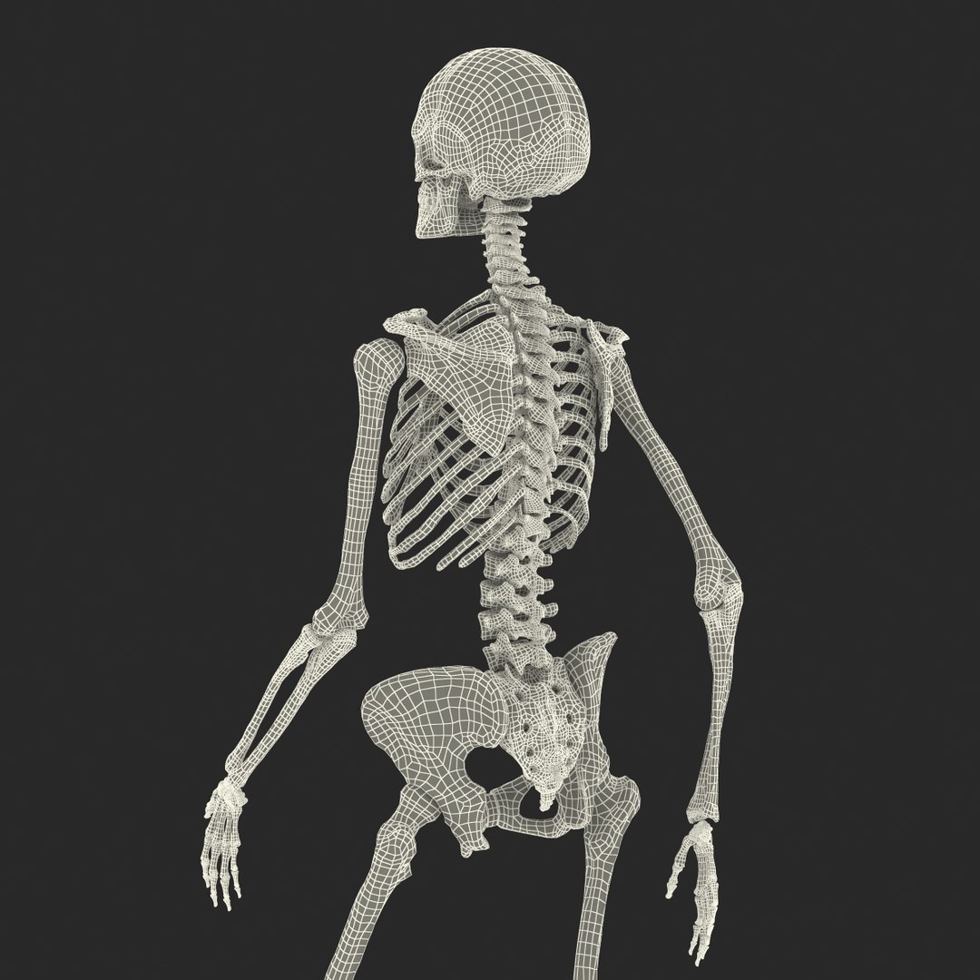 Human Female Skeleton Pose C4d