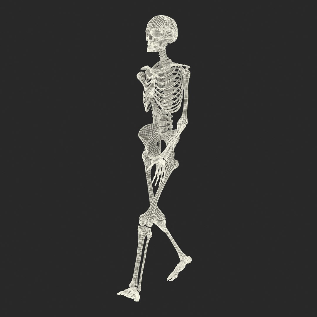 Human Female Skeleton Pose C4d