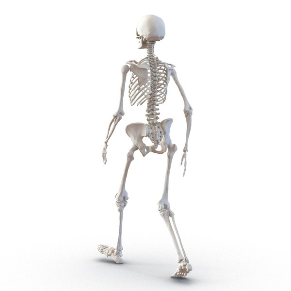 human female skeleton pose c4d