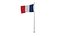 French Flags 3D model