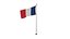 French Flags 3D model