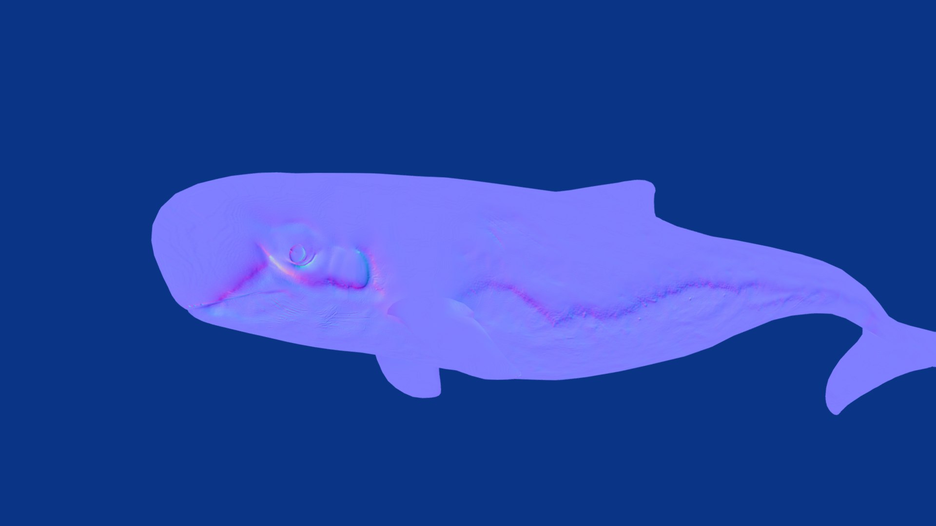 3D Pygmy Sperm Whale model https://p.turbosquid.com/ts-thumb/La/D9WbfA/1M/pygmy_spermwhales13/png/1777660842/1920x1080/fit_q87/3b0756ca852c9b0600123c3e081db0ff1c71c432/pygmy_spermwhales13.jpg