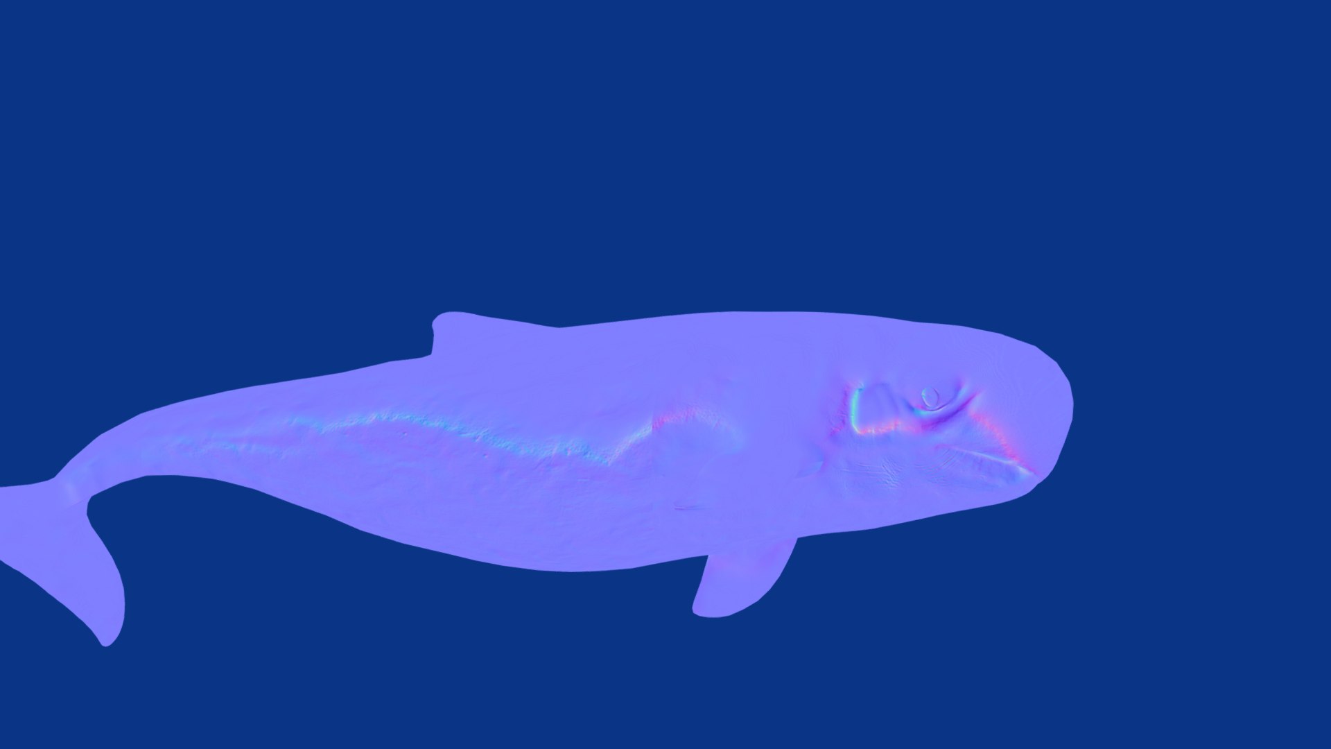 3D Pygmy Sperm Whale model https://p.turbosquid.com/ts-thumb/La/D9WbfA/3i/pygmy_spermwhales12/png/1777660837/1920x1080/fit_q87/b62012f0b34e329dddcc4c061e14c2eb90db033d/pygmy_spermwhales12.jpg
