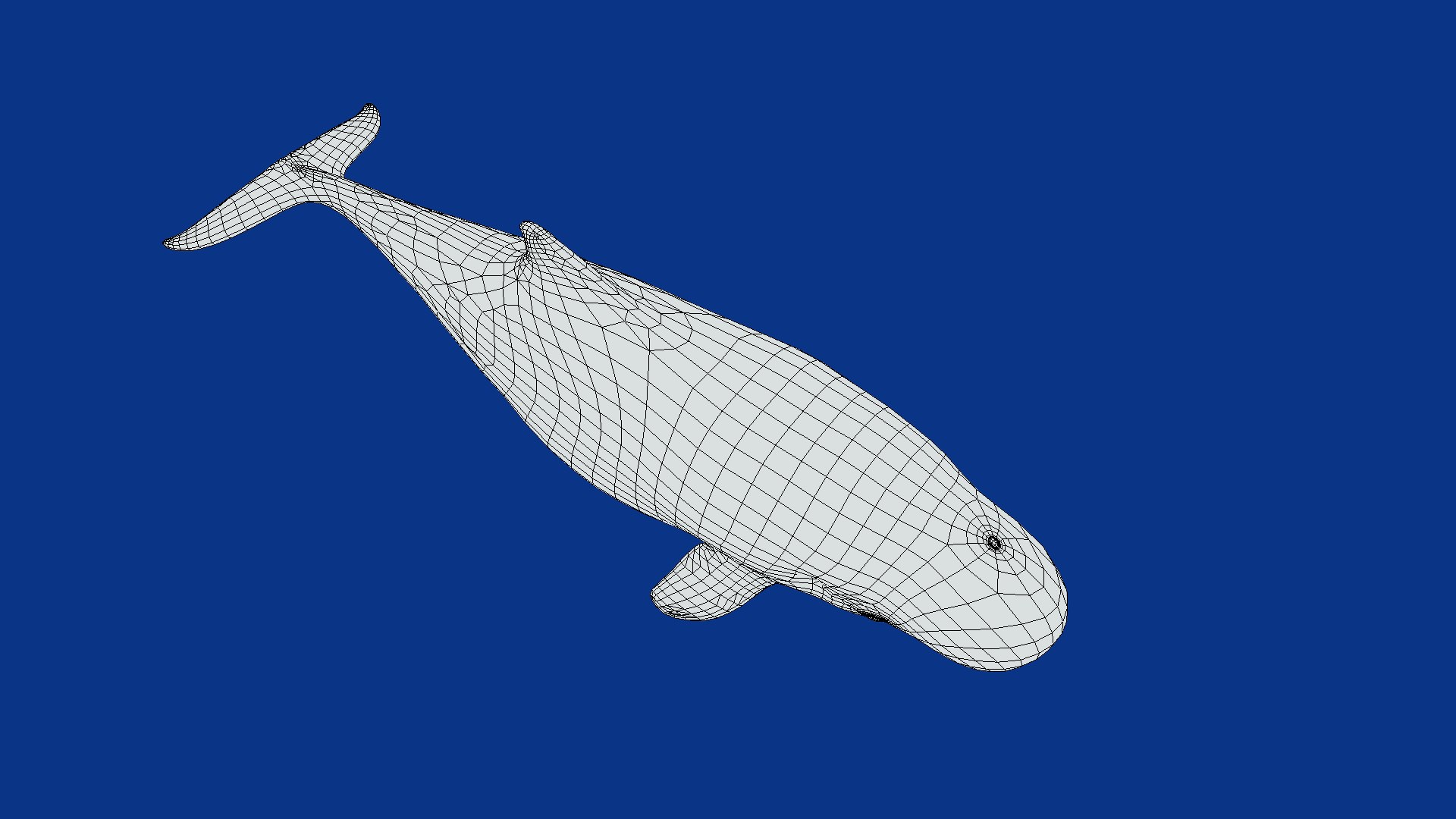 3D Pygmy Sperm Whale model https://p.turbosquid.com/ts-thumb/La/D9WbfA/PK/pygmy_spermwhales21/png/1777660865/1920x1080/fit_q87/16f226adf4c2fbda4153f149fcf4e71307e8f6ad/pygmy_spermwhales21.jpg