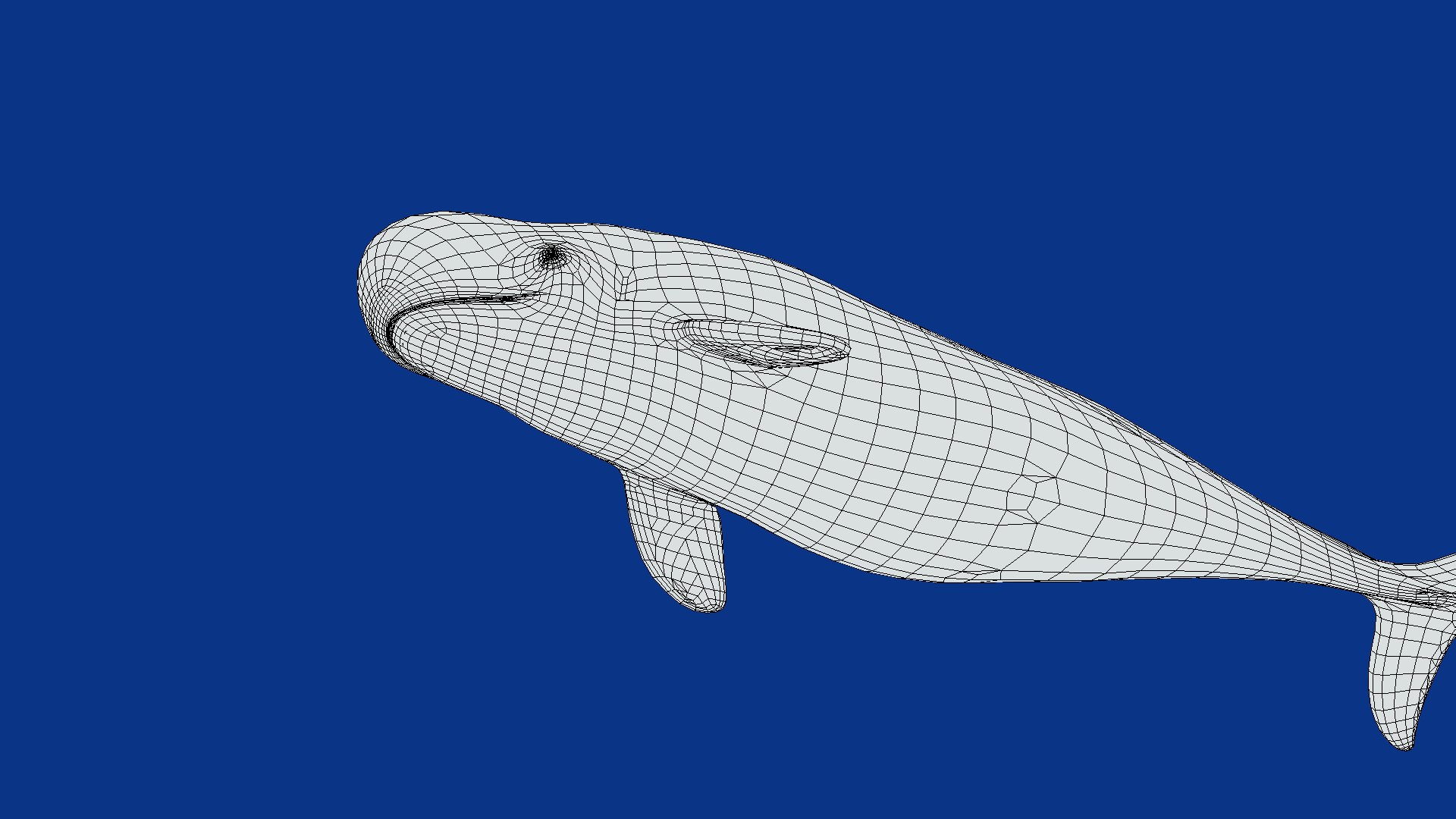 3D Pygmy Sperm Whale model https://p.turbosquid.com/ts-thumb/La/D9WbfA/QK/pygmy_spermwhales20/png/1777660863/1920x1080/fit_q87/e9941971e141def6a1ca9977af6068522032840c/pygmy_spermwhales20.jpg