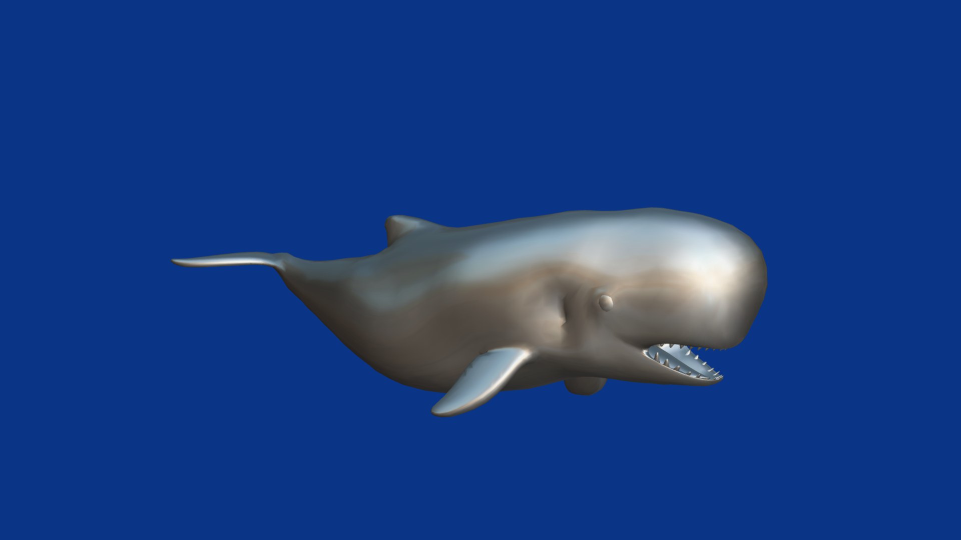 3D Pygmy Sperm Whale model https://p.turbosquid.com/ts-thumb/La/D9WbfA/Y4/pygmy_spermwhales17/png/1777660866/1920x1080/fit_q87/b1821e53a87f93184ee6870406614c89ef6fc077/pygmy_spermwhales17.jpg