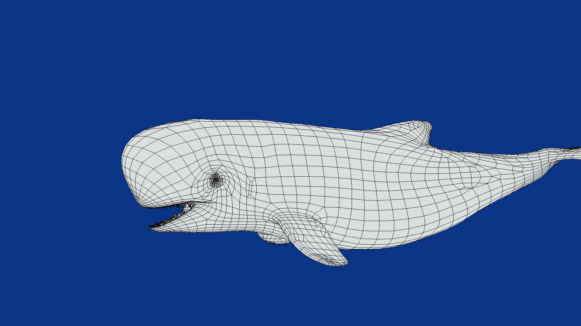 3D Pygmy Sperm Whale model https://p.turbosquid.com/ts-thumb/La/D9WbfA/fm/pygmy_spermwhales19/png/1777660859/1920x1080/fit_q87/969bc496a01d6950de2fc00123d8b9289acb7443/pygmy_spermwhales19.jpg
