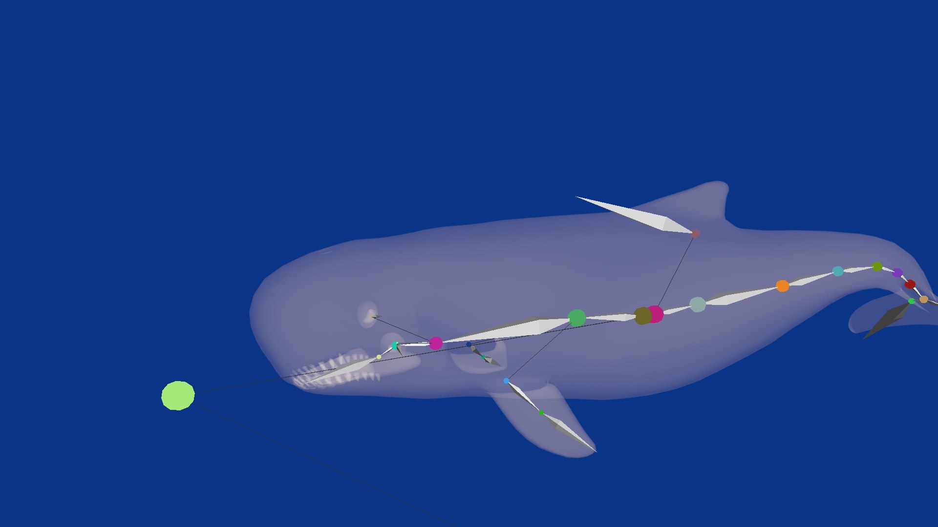 3D Pygmy Sperm Whale model https://p.turbosquid.com/ts-thumb/La/D9WbfA/qE/pygmy_spermwhales7/png/1777660819/1920x1080/fit_q87/5b5dd060bcb39196506bc9b5b3528dd57e072c21/pygmy_spermwhales7.jpg