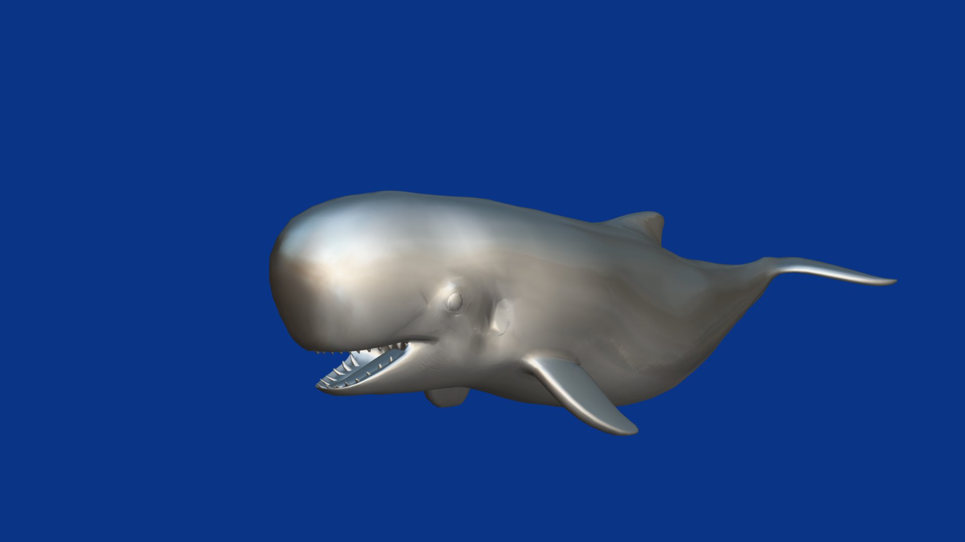3D Pygmy Sperm Whale model https://p.turbosquid.com/ts-thumb/La/D9WbfA/qM/pygmy_spermwhales18/png/1777660855/1920x1080/fit_q87/62d97c5ed83a8fa002dc424f7ec1c021cf2ee7b2/pygmy_spermwhales18.jpg