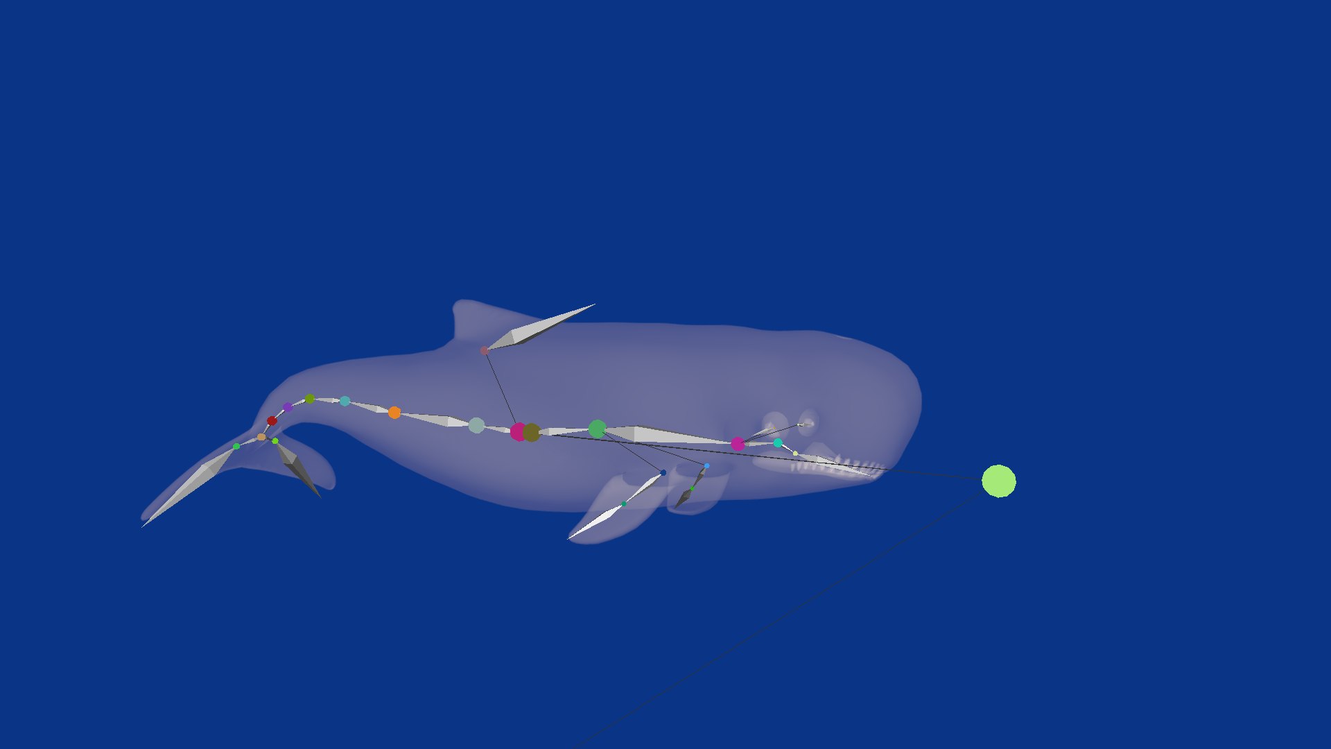 3D Pygmy Sperm Whale model https://p.turbosquid.com/ts-thumb/La/D9WbfA/zB/pygmy_spermwhales6/png/1777660804/1920x1080/fit_q87/fe7a8fdba578bfaebcdf6cb3b0e8d49bf38f960a/pygmy_spermwhales6.jpg