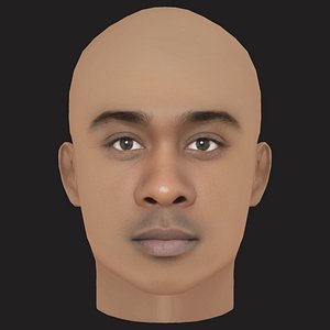 Low Poly Wale Rapper Head