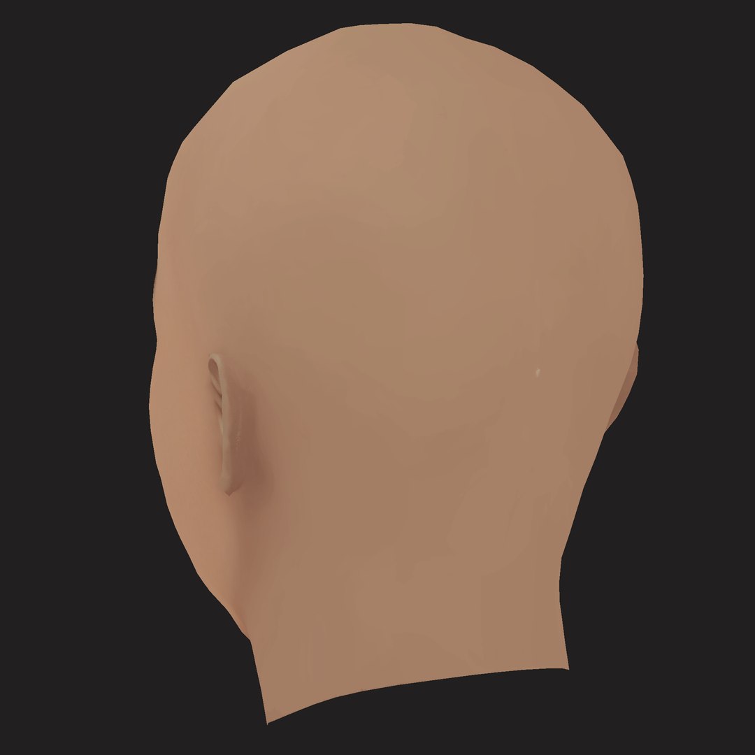 Low Poly Wale Rapper Head 3D model https://p.turbosquid.com/ts-thumb/La/JPQt08/n0/04/png/1792222387/1920x1080/fit_q87/1d0cc1bef2c62573092c7bd55f76a3a9c2348aa9/04.jpg