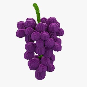 3D Voxel Grape model