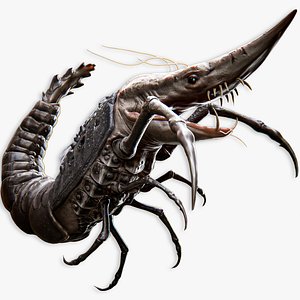 Caridean Shrimp low poly model - underwater creatures - ocean monster fish model - lowpoly fish 3D