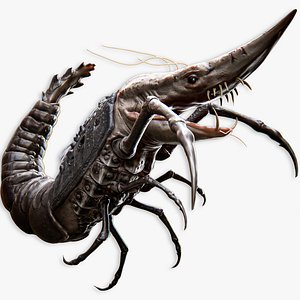 Caridean Shrimp low poly model - underwater creatures - ocean monster fish model - lowpoly fish 3D