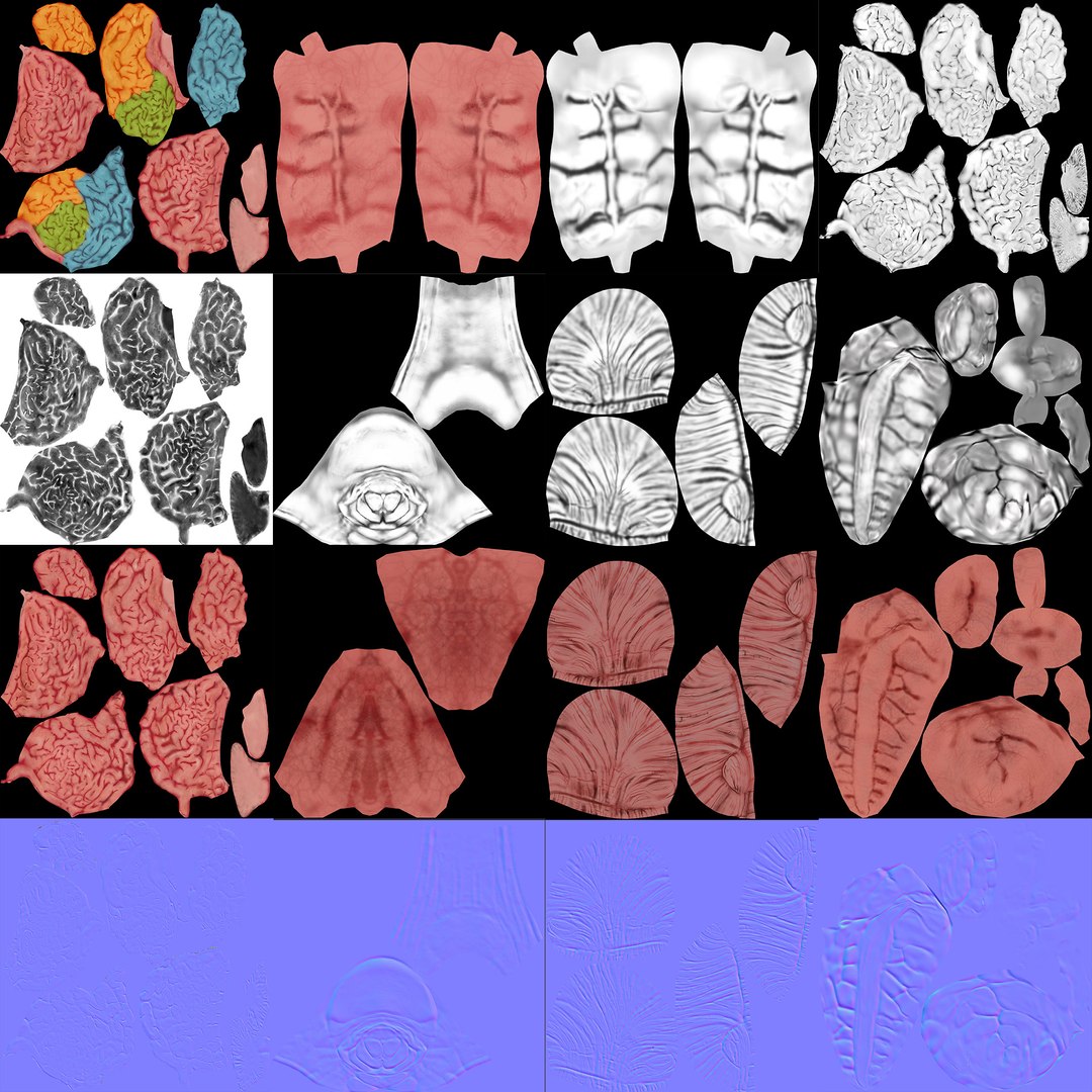 3ds max human brain - internal anatomy https://p.turbosquid.com/ts-thumb/Lb/4Dx3eF/Fg/humanbrain_08b/jpg/1748532859/1920x1080/fit_q87/7934122cf5af2e0cfd84e6a0551b12d4081c62bb/humanbrain_08b.jpg