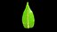 3D model Mangifera leaf