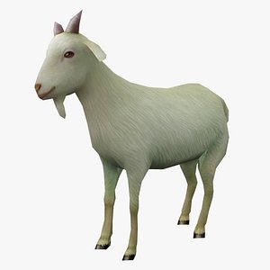 Animated Goat 3D Models for Download | TurboSquid