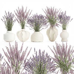 3D Collection realistic bouquets 5 lavender flowers vase decor model