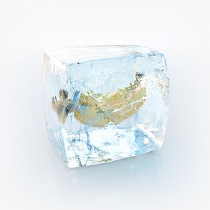 ice cube max