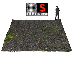 forest ground 16k hd 3d max