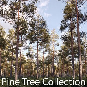 Pine Tree Collection