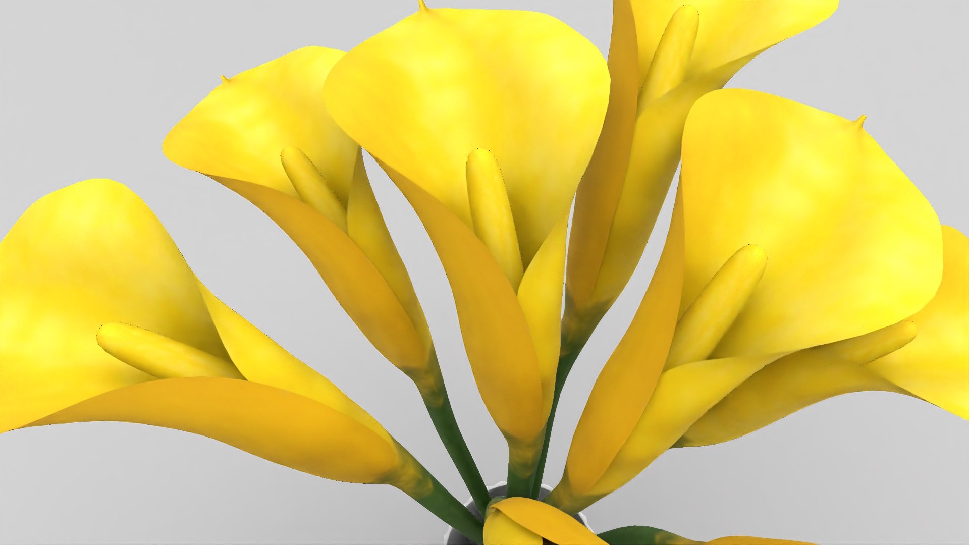 flowers calla model https://p.turbosquid.com/ts-thumb/Lb/QNfqVZ/NN2Szuno/w6/jpg/1599690054/1920x1080/fit_q87/a45e98e98fd39bf83eee78190f224053109b8ce2/w6.jpg