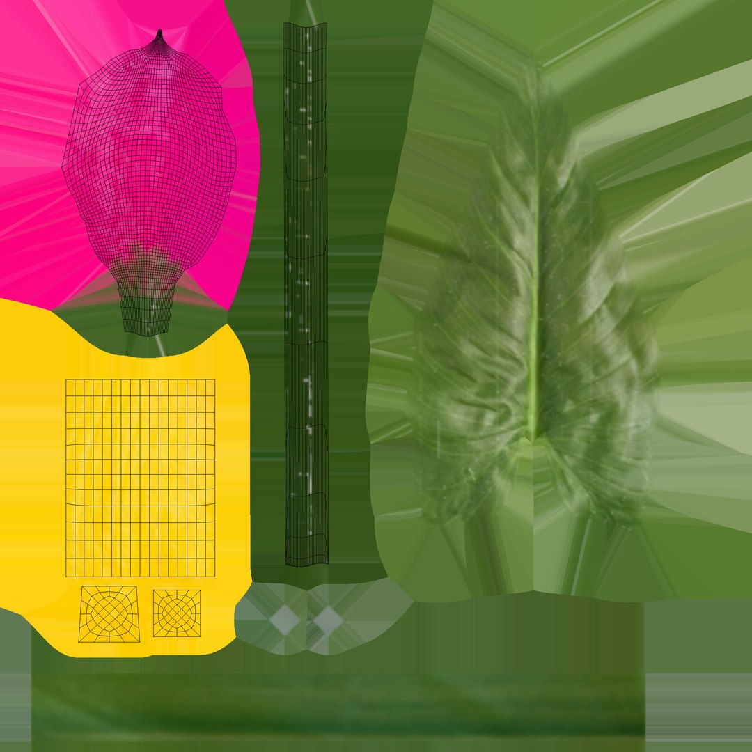 flowers calla model https://p.turbosquid.com/ts-thumb/Lb/QNfqVZ/TNxGpXi3/t/jpg/1599690437/1920x1080/fit_q87/55a5f7b04ee5036c34e7acc7f160b2dfc5d0ea8c/t.jpg