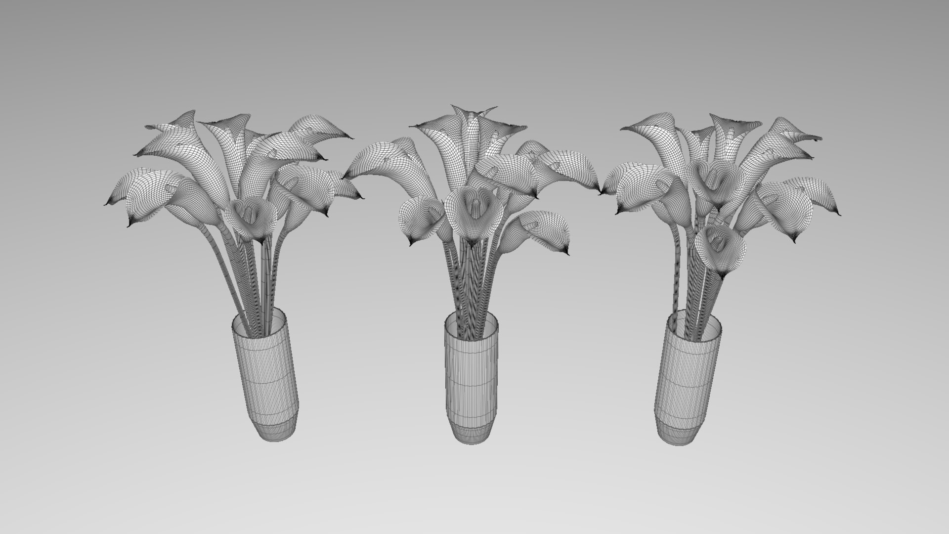 flowers calla model https://p.turbosquid.com/ts-thumb/Lb/QNfqVZ/nabnifG3/w1/jpg/1599689927/1920x1080/fit_q87/b6d7d03efec851f9641884d99c5559d283bc935c/w1.jpg