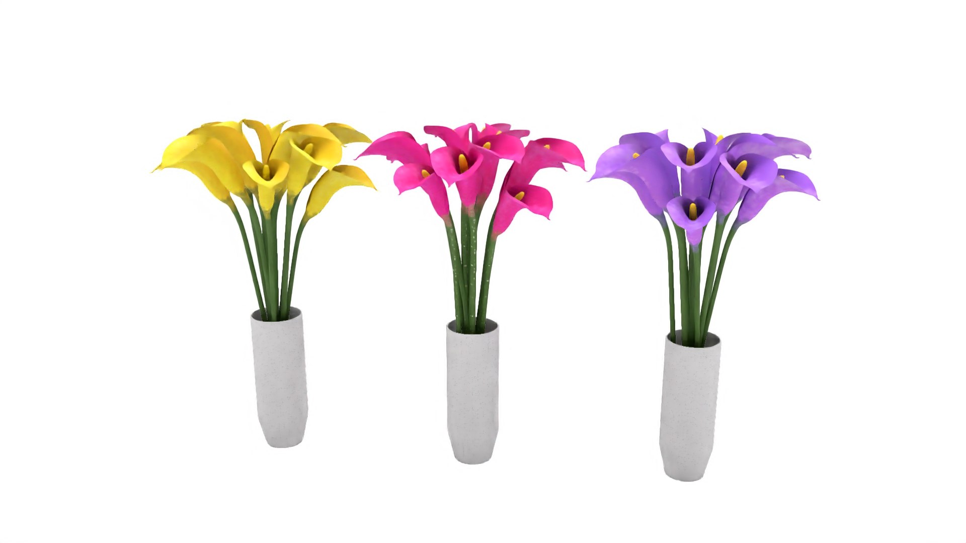 flowers calla model https://p.turbosquid.com/ts-thumb/Lb/QNfqVZ/zIbQF3He/1/jpg/1599689865/1920x1080/fit_q87/0957ec15fe81e046e4a25fbf681230a5ad724771/1.jpg
