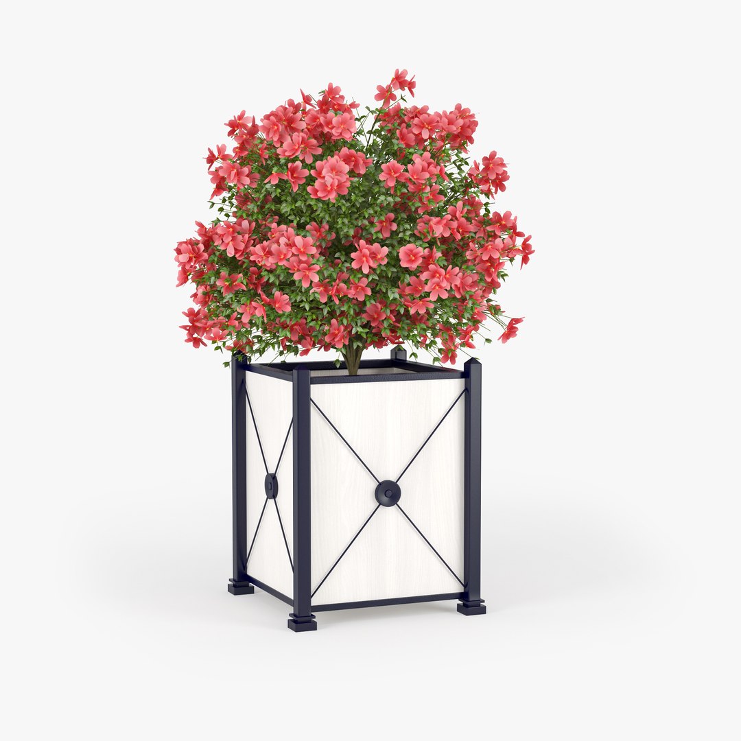 3D Hibiscus Model - TurboSquid 1304827