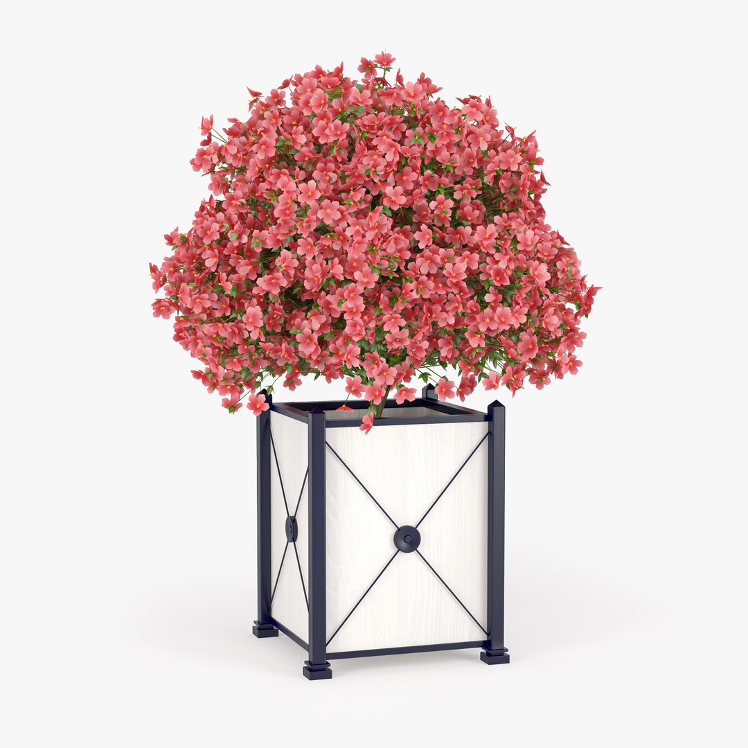 3D Hibiscus Model - TurboSquid 1304827