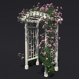 3D model arch 3 climbing rose