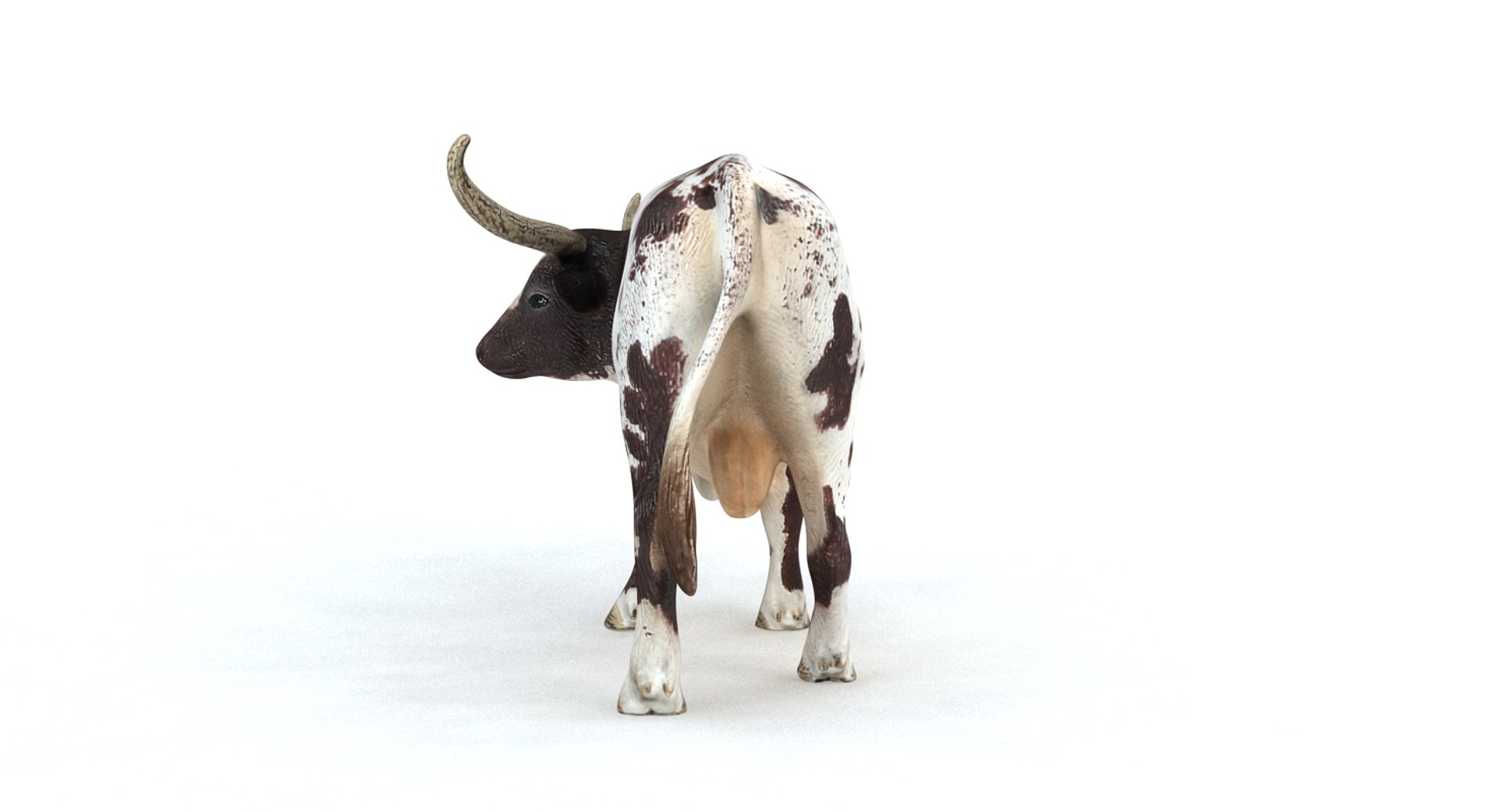 longhorn bull 3d model https://p.turbosquid.com/ts-thumb/Lb/a7zQgX/MNxO5llb/longhornbull_camera001_thumbnail_10009/jpg/1470399615/1920x1080/fit_q87/613dcd0344149a648df129896cb585e274391828/longhornbull_camera001_thumbnail_10009.jpg
