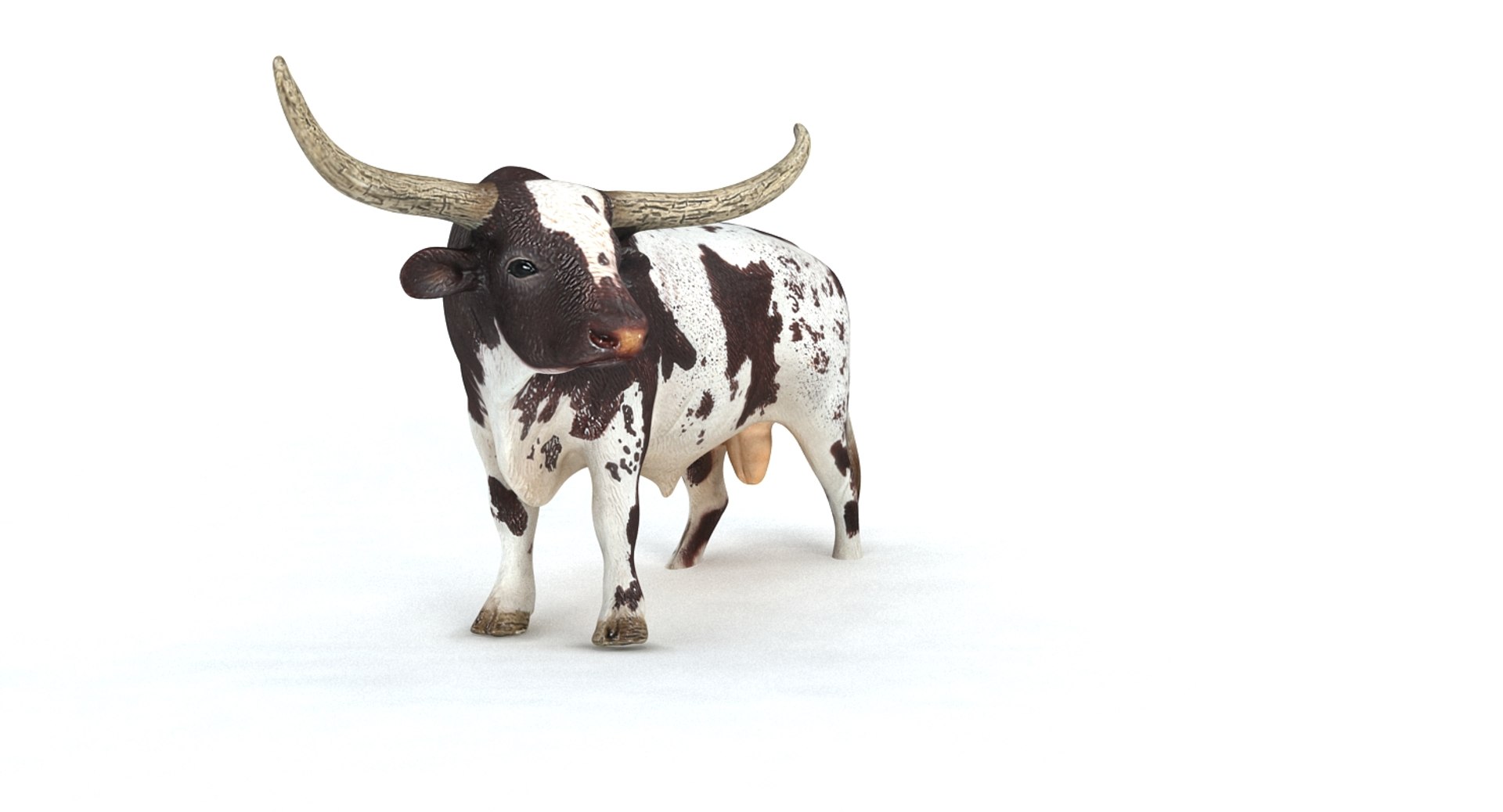 Longhorn Bull 3d Model