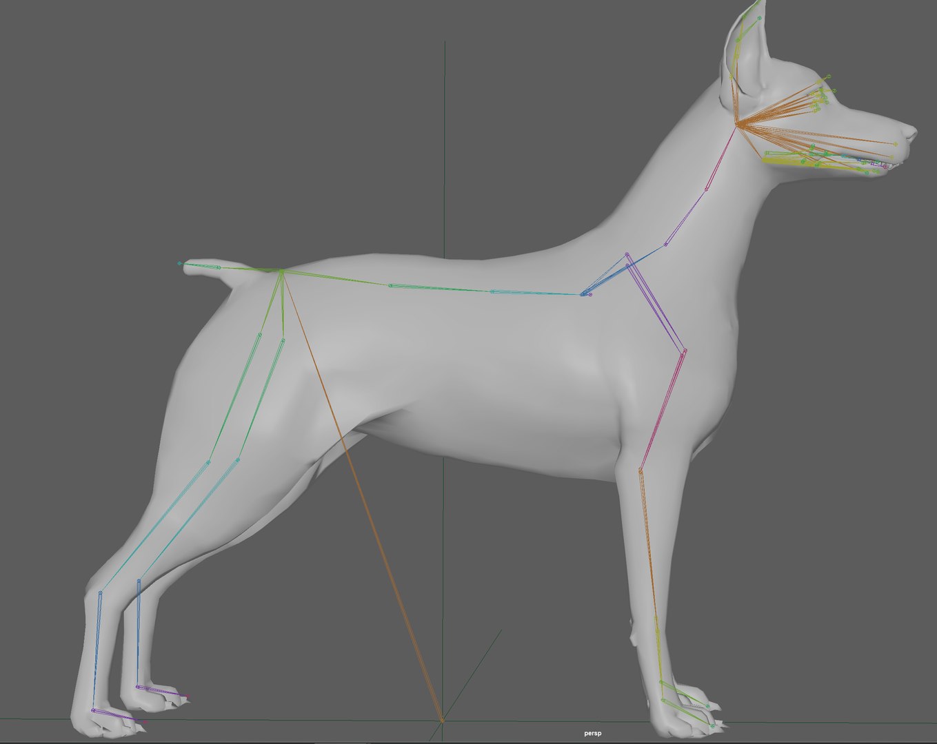 3D Doberman Dog Rig - TurboSquid 1980957