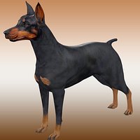 Doberman Dog Rig