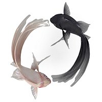 Yin Yang Fish