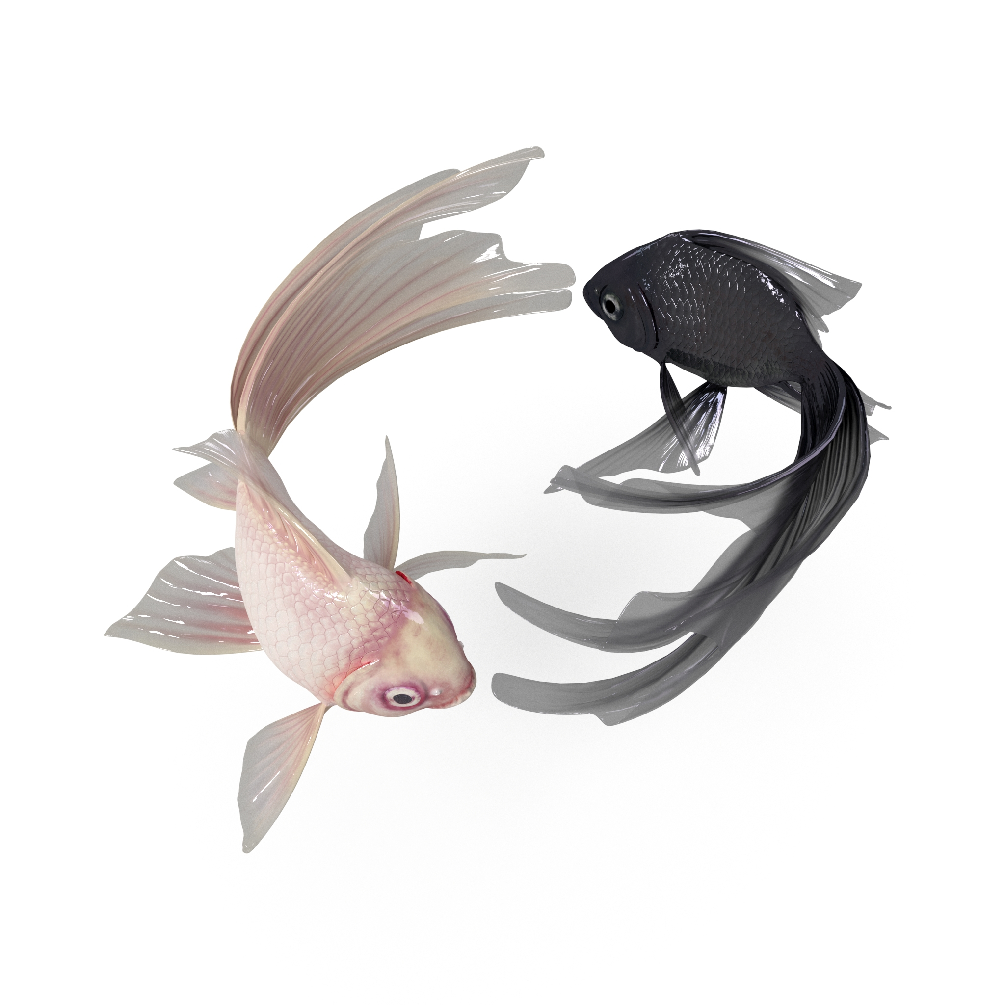 Yin yang fish model - TurboSquid 1504561