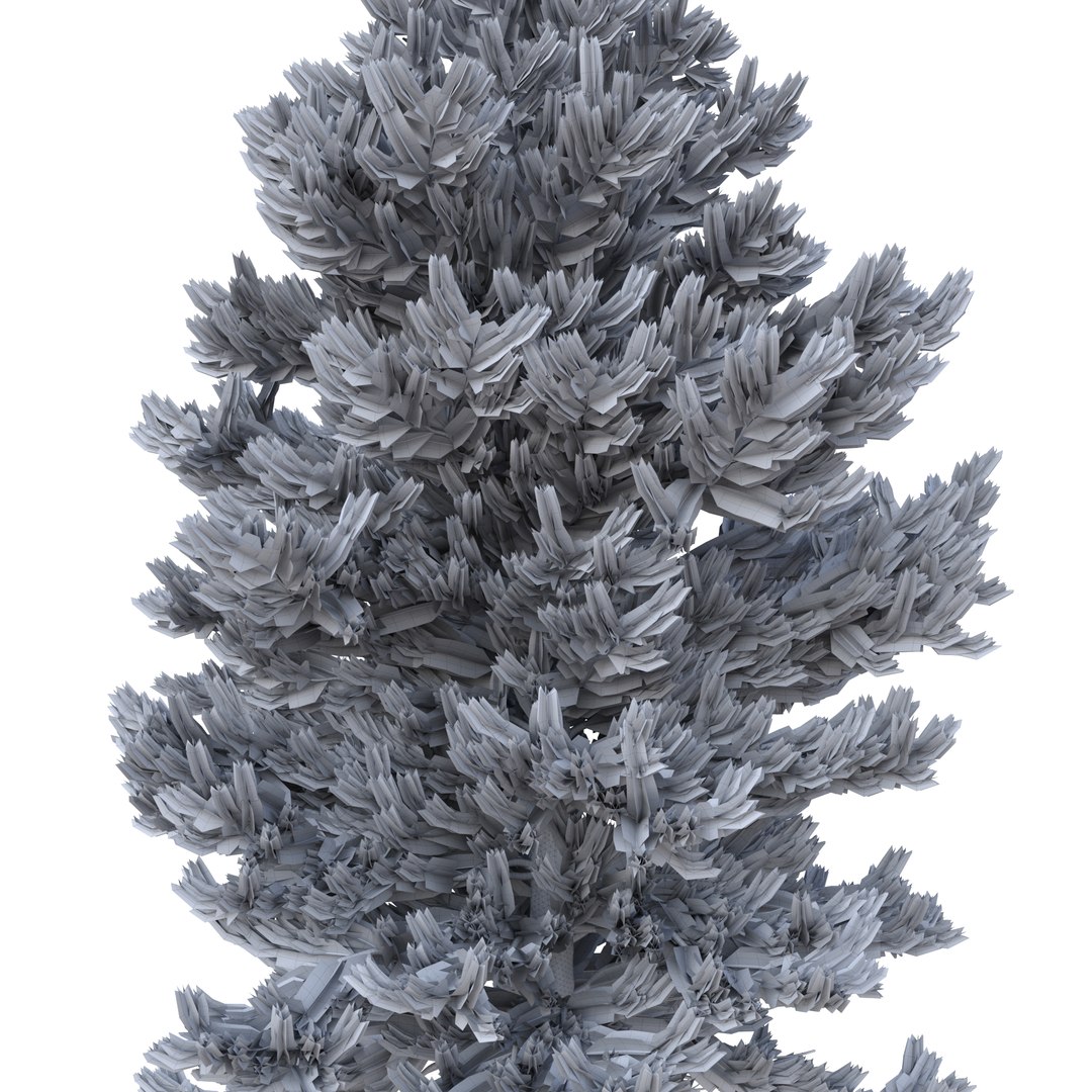 3D model Picea Abies Set 2 - 2 in 1 https://p.turbosquid.com/ts-thumb/Lb/u9AfdZ/Hs/rend52/jpg/1630855854/1920x1080/fit_q87/1e35d1f76e81785c93b496d77c8ff2b45577e793/rend52.jpg
