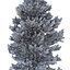Picea Abies Set 2 - 2 in 1