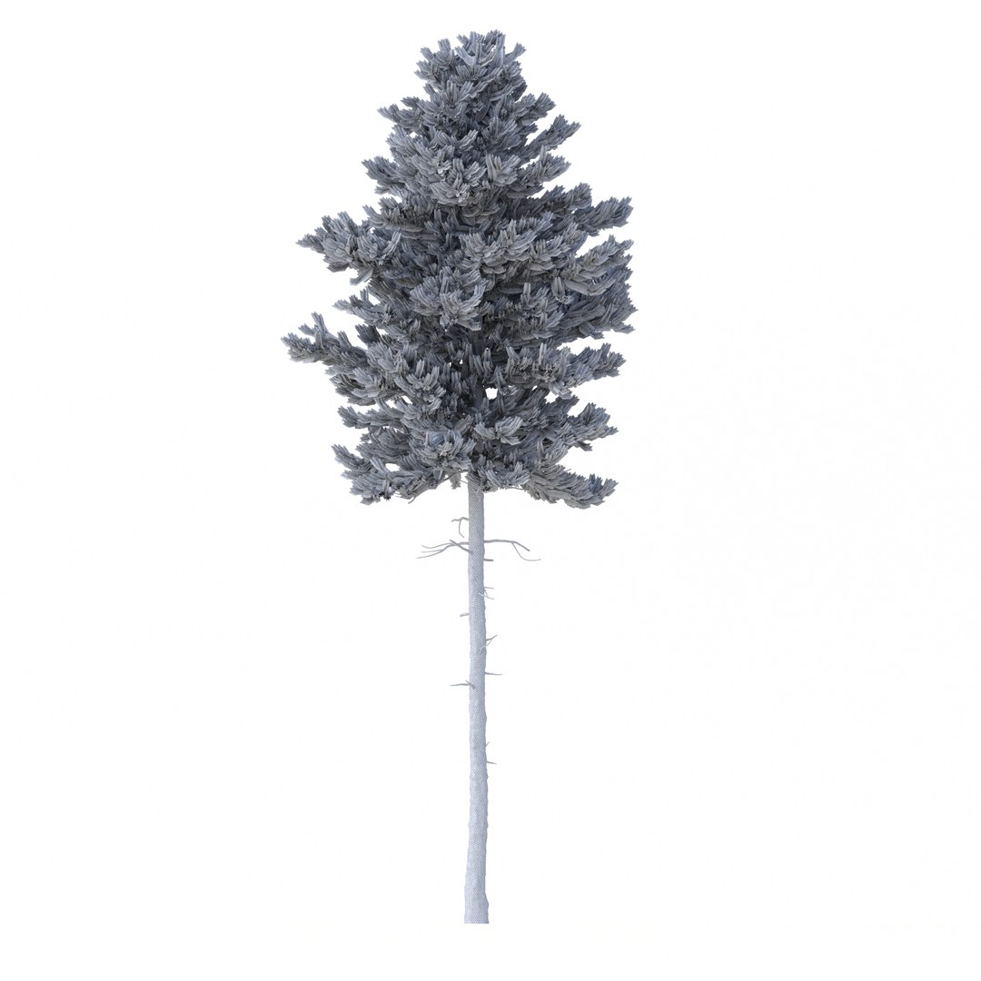 3D model Picea Abies Set 2 - 2 in 1 https://p.turbosquid.com/ts-thumb/Lb/u9AfdZ/cy/rend3.12/jpg/1630855847/1920x1080/fit_q87/6929420a6582be674323d973ab022705e2962dec/rend3.12.jpg