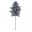 Picea Abies Set 2 - 2 in 1