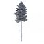 Picea Abies Set 2 - 2 in 1