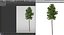 Picea Abies Set 2 - 2 in 1