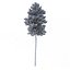 Picea Abies Set 2 - 2 in 1