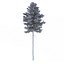 Picea Abies Set 2 - 2 in 1