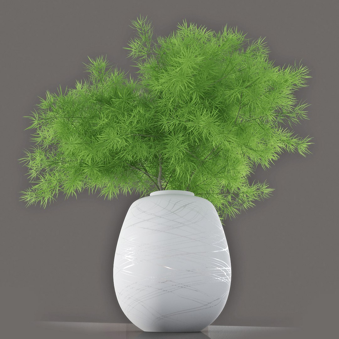 Asparagus Umbellatus Vase 3D TurboSquid 1459091
