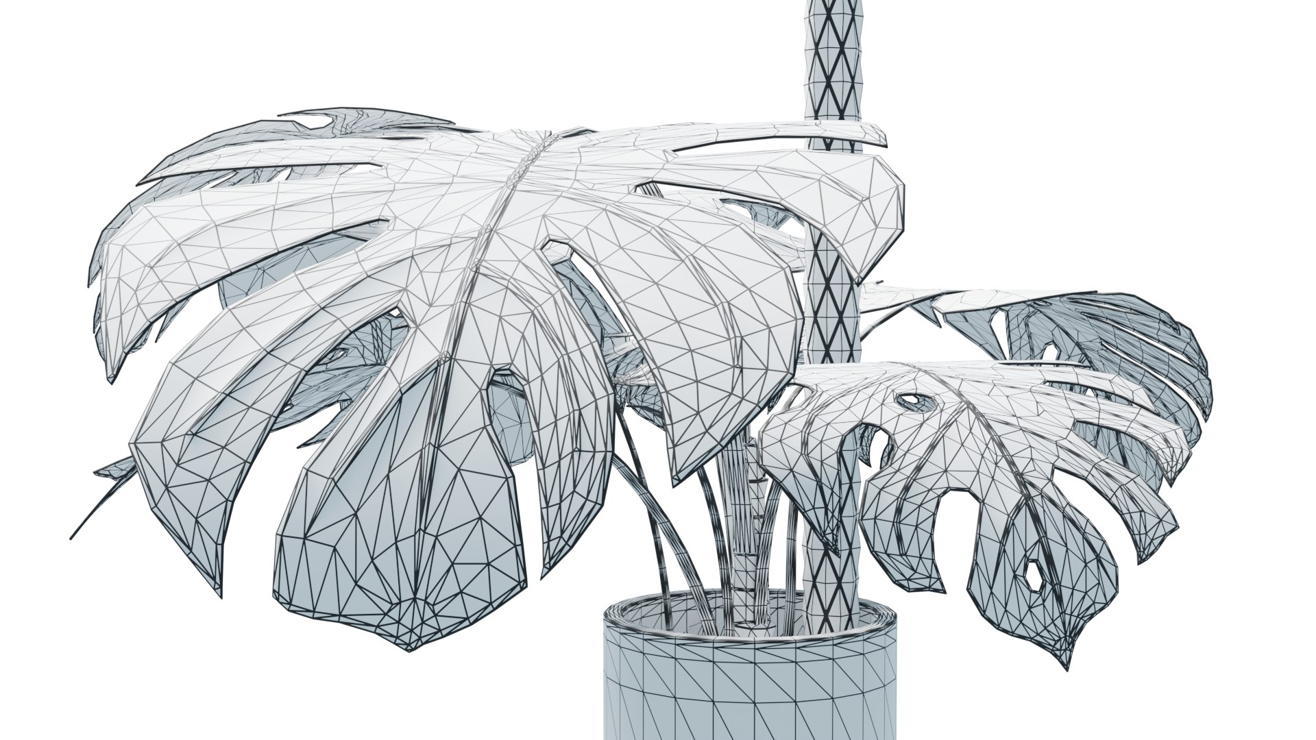 Flower in pot 01 3D model https://p.turbosquid.com/ts-thumb/Lc/5SK98H/4Z/monstera_wireframe_low_rend_002/png/1648070802/1920x1080/fit_q87/a4f305fdeec5fca3a15af04b3de30f306e43ee43/monstera_wireframe_low_rend_002.jpg
